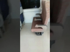 12 meses de tren rotativo Seat MOQ 100PCS de la garantía